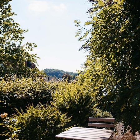Ferienwohnung Kurpark Brilon Am Rothaarsteig Bagian luar foto
